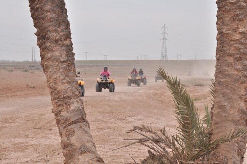 Quad Palmerie Marrakech Excursion