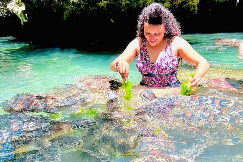 Swim with Turtles Tour to Zanzibar Sanctuary