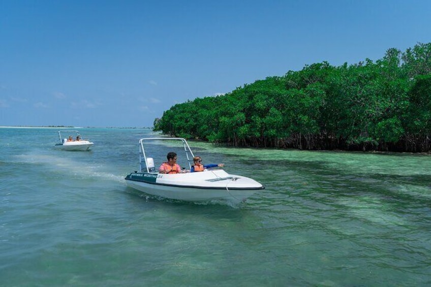 Speed Boat Tour in Cancun