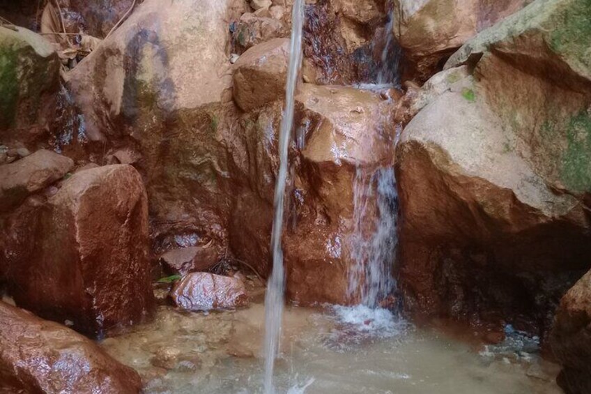 Sulphur springs: Dominica is a volcanic island so we have quite a bit of sulphur springs. One can enjoy a soothing warm mineral bath in one of these. This photo was taken at soufriere sulphur springs 