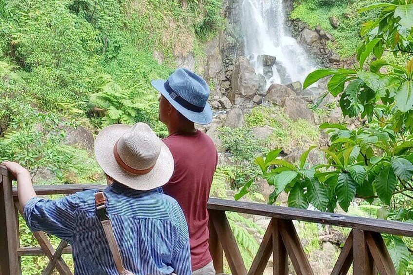 Trafalgar waterfalls: see two waterfalls falling side by side from each other. This one shown her is the mama falls