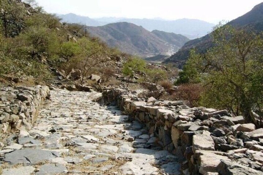 Tour to Kings Resort from Jeddah to Taif, Al Hada and Shafa