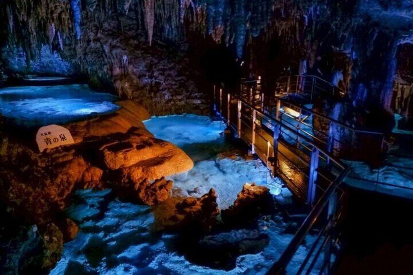 Cave Okinawa Admission Ticket