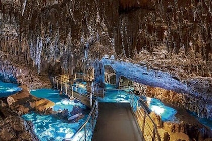 Biglietto d'ingresso mondiale Okinawa | Giappone