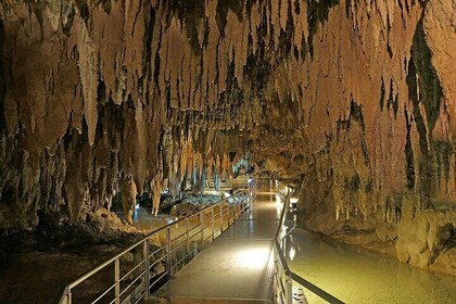 Cave Okinawa Admission Ticket