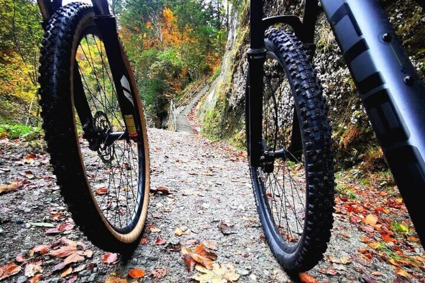 Scenic Bike Tour with a Lake Cruise Adventure