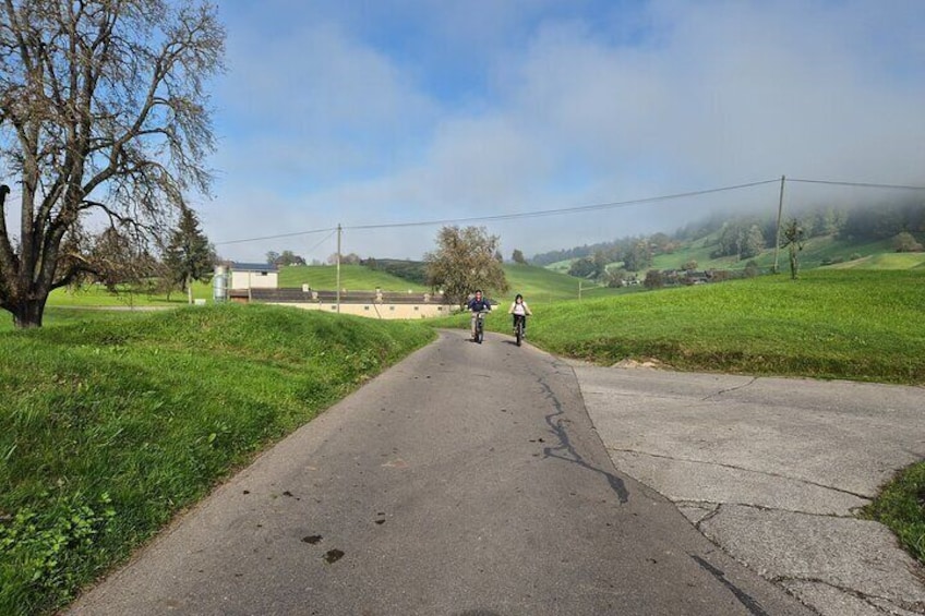 Scenic Bike Tour with a Lake Cruise Adventure