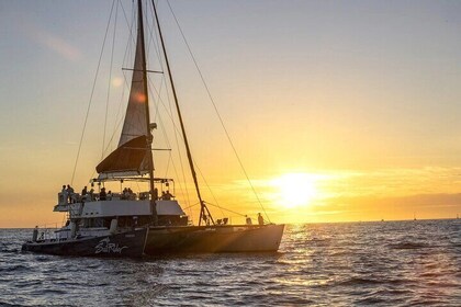 Cabo Cruise Sunset Adventure: Tacos, Margaritas & Sea Lions