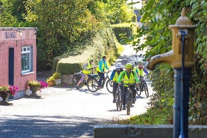 Guided eBike Tour in Garrykennedy and Arra Hills at Lough Derg