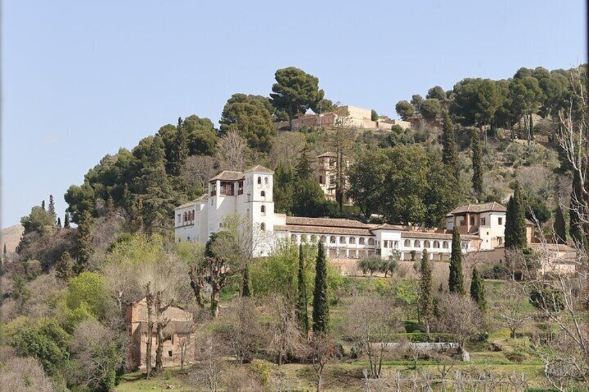 Arabic Alhambra Private Tour