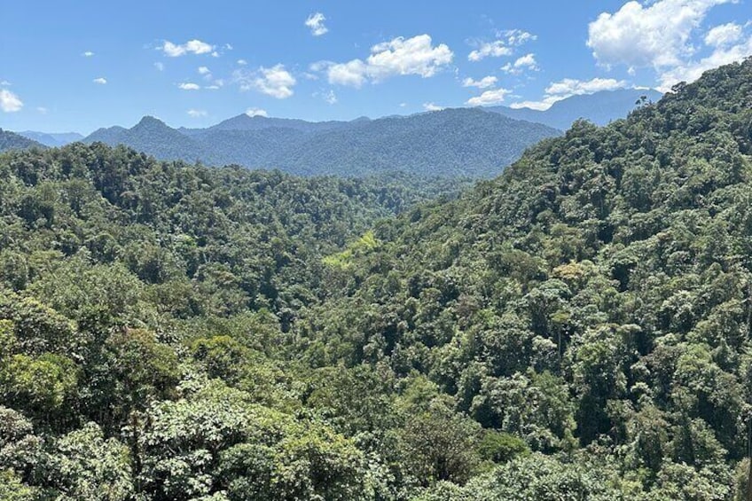 Private Mindo Cloud Forest Guided Tour