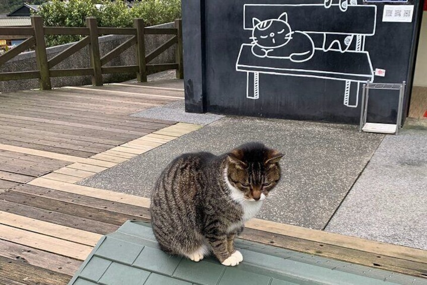 Taiwan, Houtong Cat Village