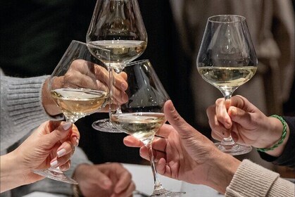 Private Montevideo Wine Tasting for Cruise Passengers