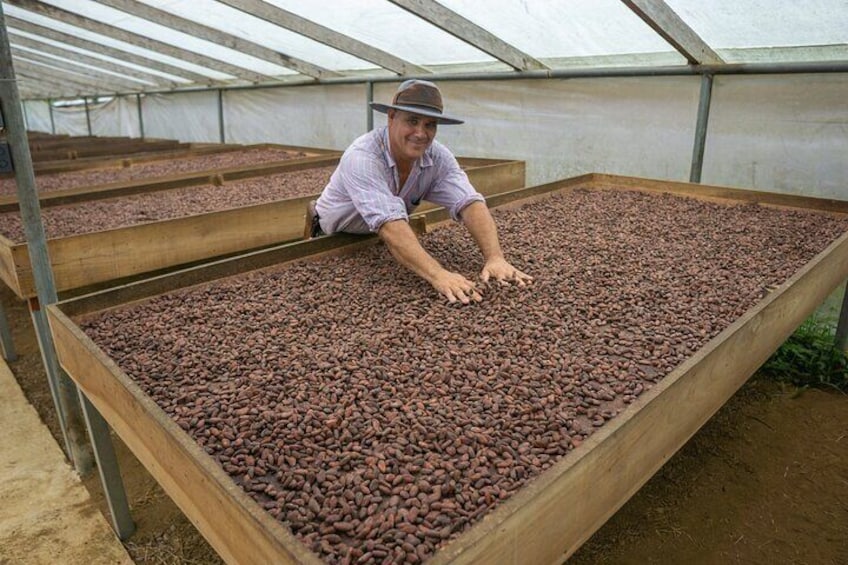 Evelyza Cacao Farm Tour Experience 