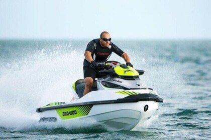 Jetski tour around the biscayne bay and the millionaire row