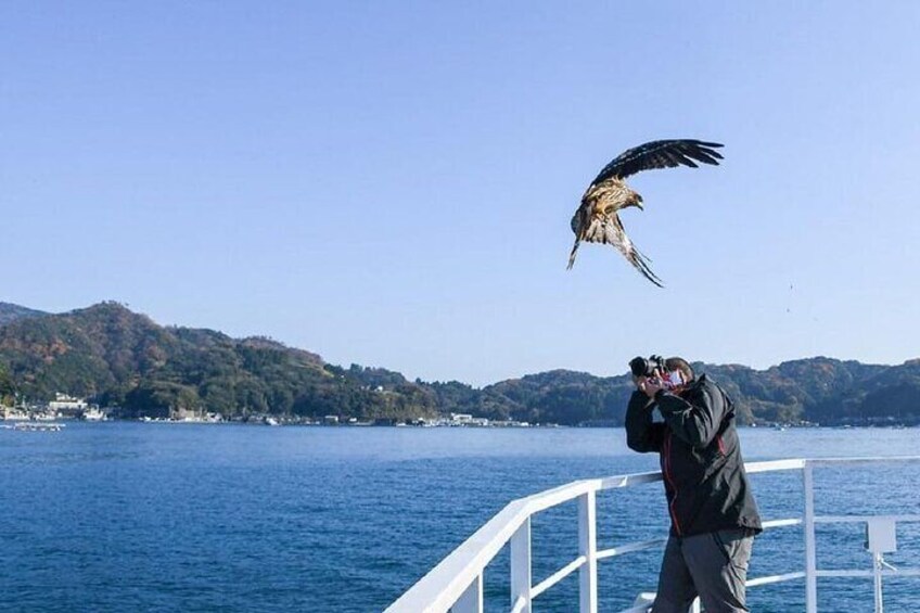 Kyoto Coast, Amanohashidate & Ine Bay