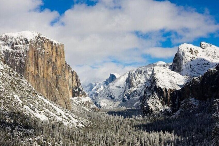 Enchanting small group Yosemite National Park Tour from Cupertino