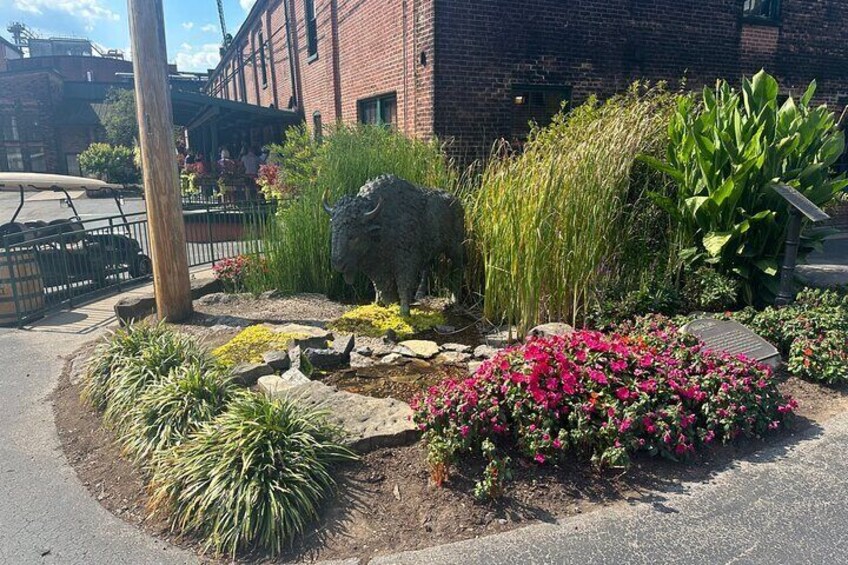 Private Tour of Horses Bourbon and Chocolate Delights in Kentucky