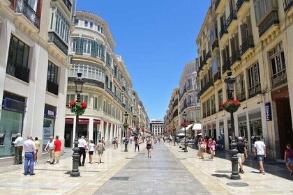 Private Day Trip to Malaga from Costa del Sol