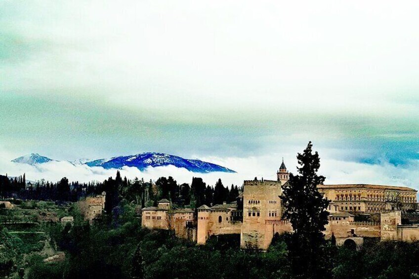 Alhambra Private Tour with Tickets