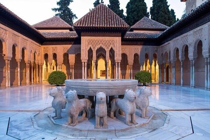 Alhambra Private Tour with Tickets to the Nasrid Palaces