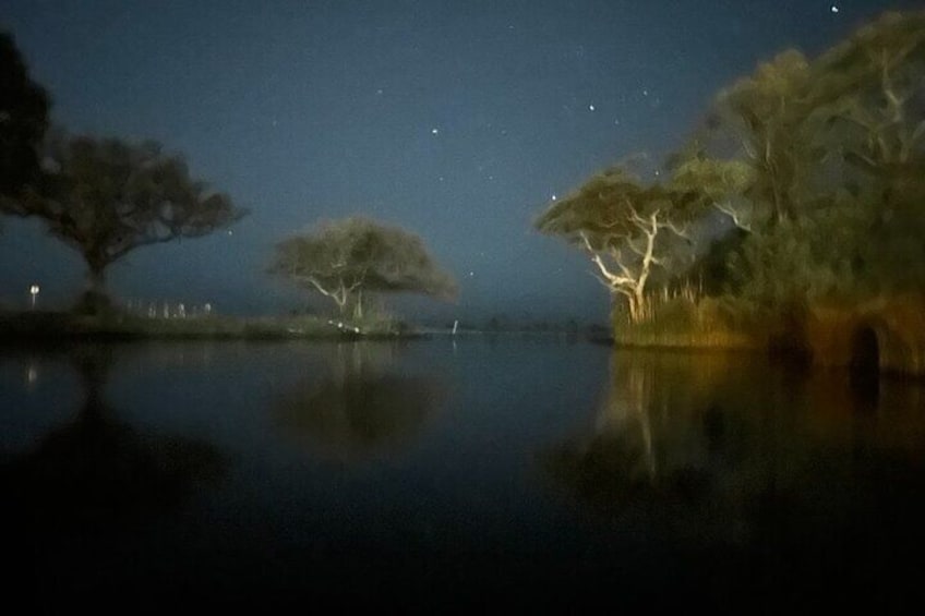 Destin FWB Haunted Clear Kayak Glow Tour