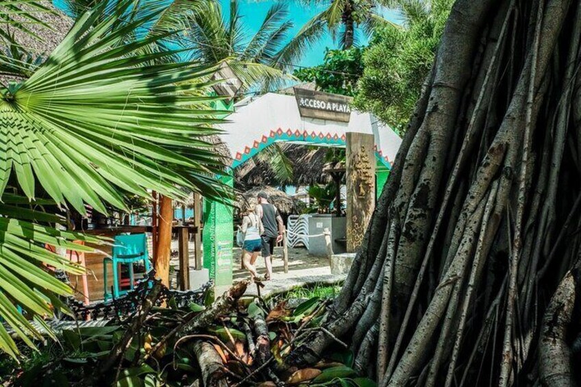 Signature Escape: Sayulita & San Pancho Private Tour