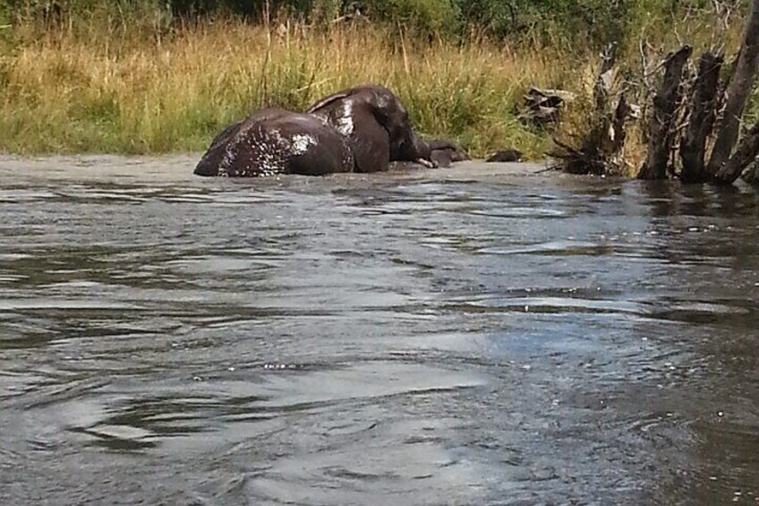 4 Days Livingstone and Chobe National Park Tour