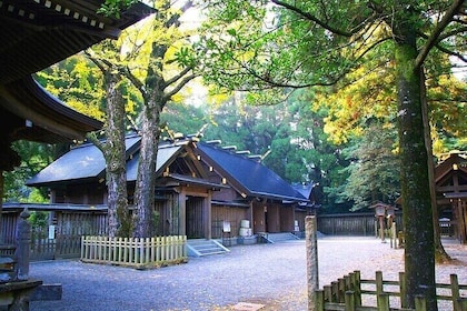 From Fukuoka: Day Trip to Miyazaki Takachiho Gorge & Shrine