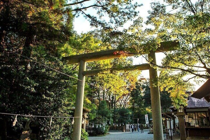 Kamishikimi Kumanoza Shrine & Amanoiwato Shrine Tour