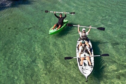 Half Day Guided Kayak Tour in Barra da Lagoa with Snacks