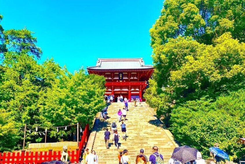 Kamakura Private E-bike Tour Highlights of Samurai Town