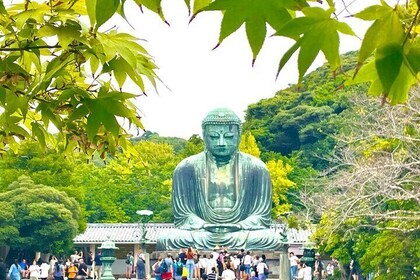 Kamakura Private E-bike Tour Highlights of Samurai Town