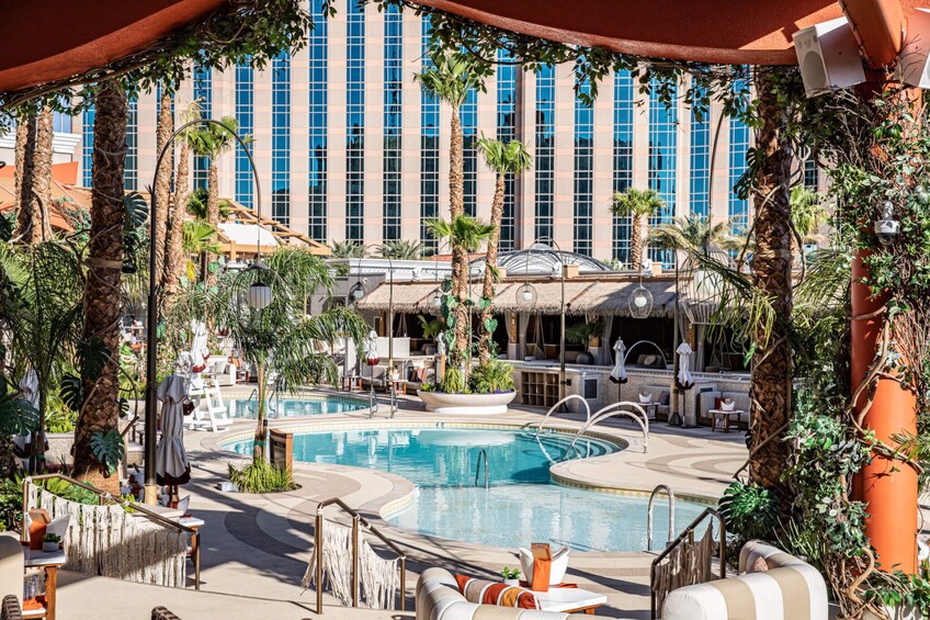 Las Vegas: Day Club Pool Party with Free Drinks & Party Bus