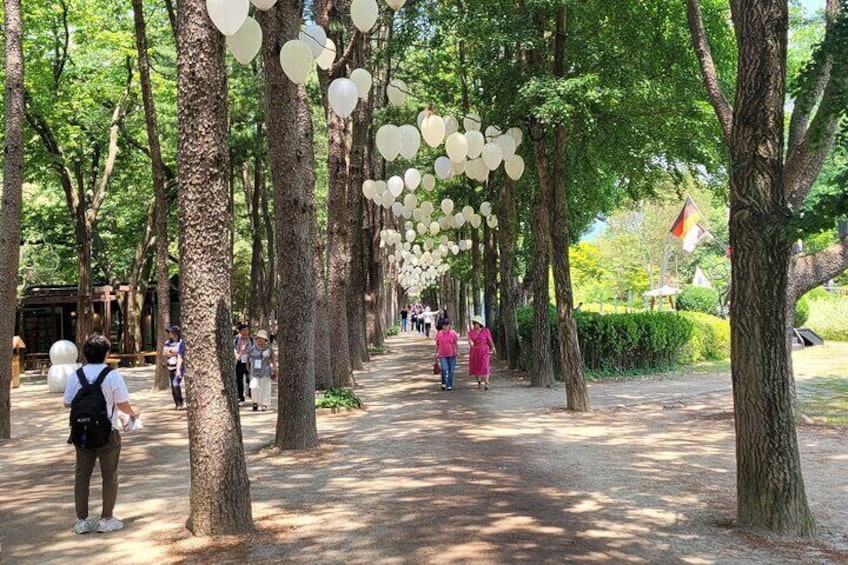 NAMI island