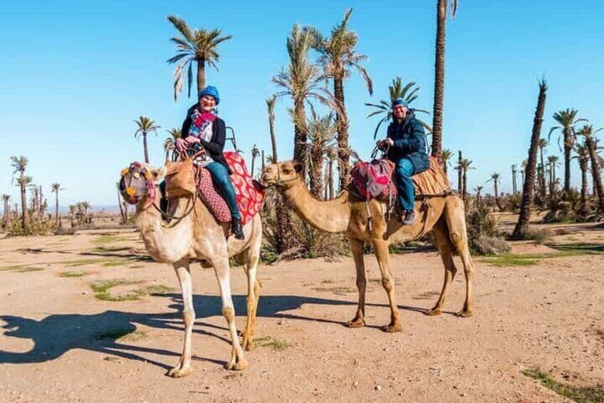 Quad Bike and Camel Ride in Marrakech Palmeraie