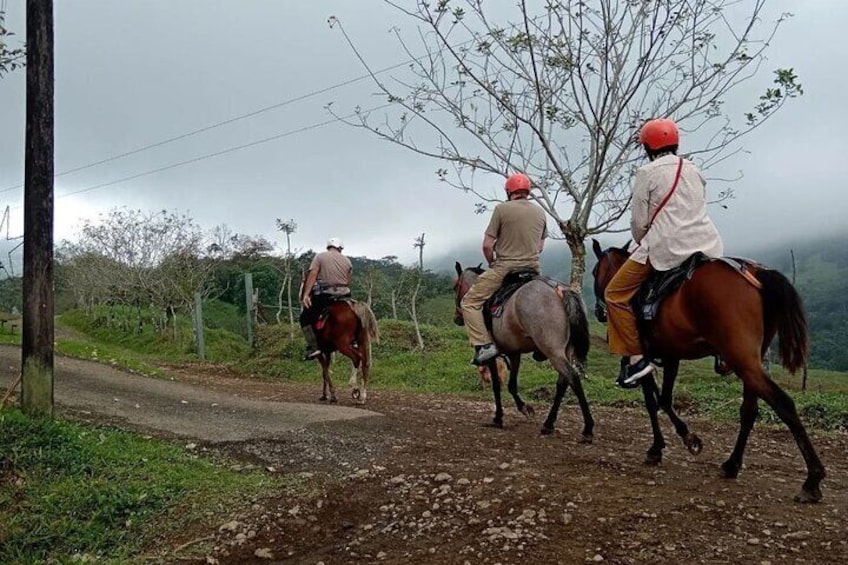 Visita Nomada