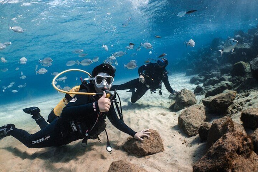 Try Scuba Diving in Lanzarote with One Dive.