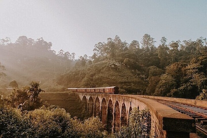 Ella Day Tour From Galle