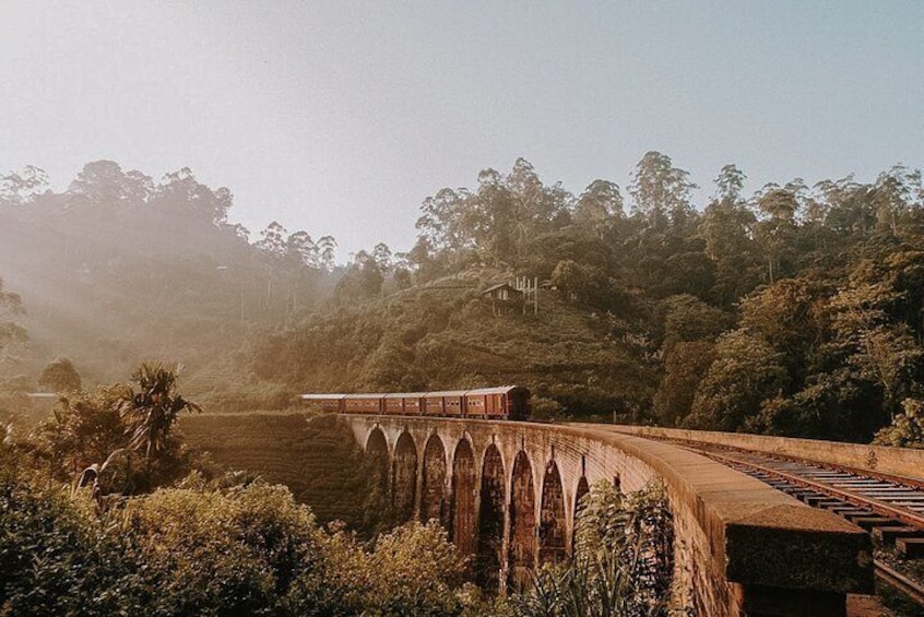 Ella Day Tour From Galle