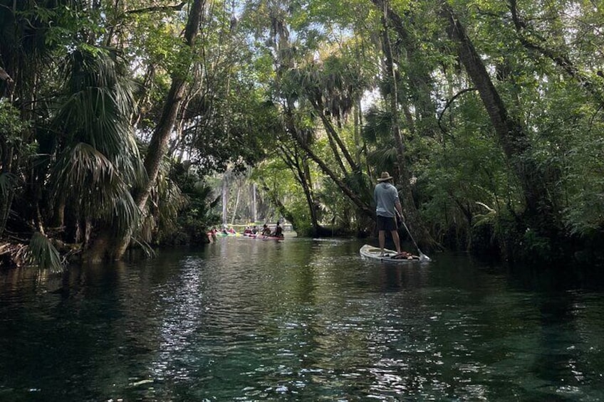 Guided Clear Kayak Tours on the Silver River