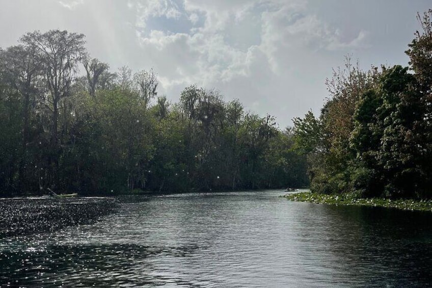 Guided Clear Kayak Tours on the Silver River