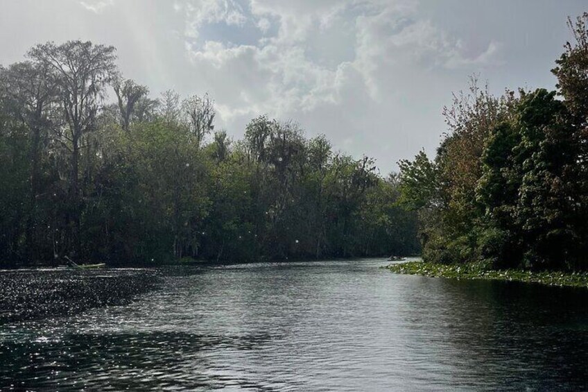 Guided Clear Kayak Tours on the Silver River