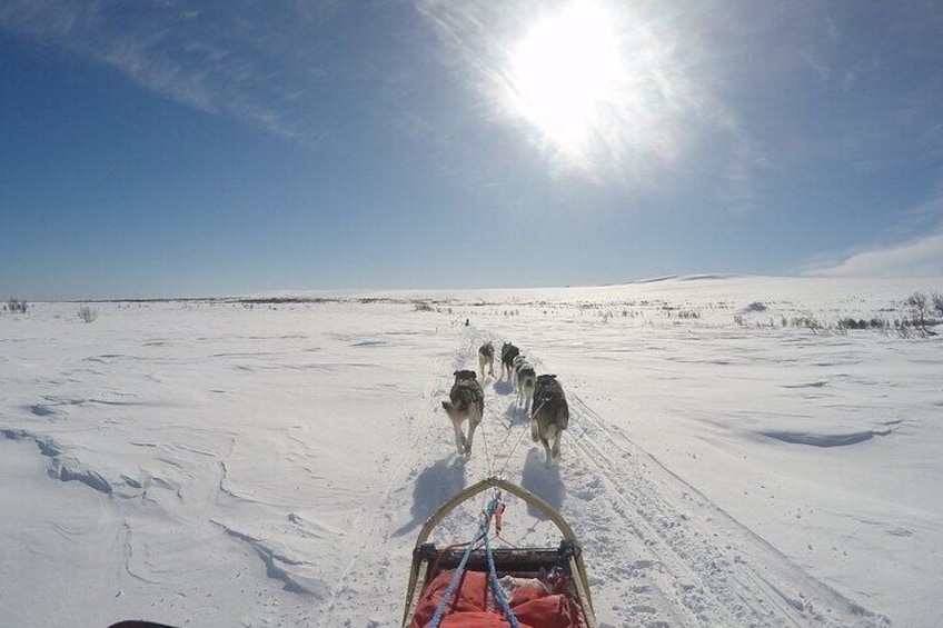 3 Day Sledding Adventure in the White Mountains of Alaska