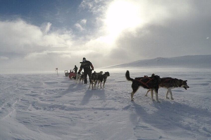 3 Day Sledding Adventure in the White Mountains of Alaska