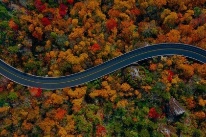 Full Day Tour from Atlanta to Amicalola Falls and Blue Ridge