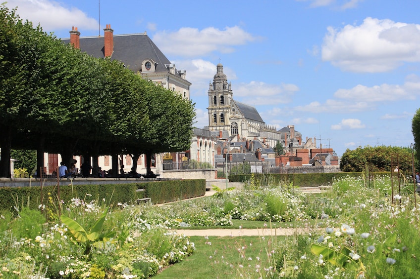 From Paris: Explore the Loire Valley Castles - Blois, Amboise and Chambord