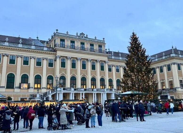 Picture 1 for Activity Vienna: Schönbrunn Palace & Christmas Market Walking Tour