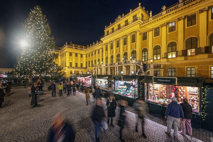 Vienna: Schönbrunn Palace & Christmas Market Walking Tour