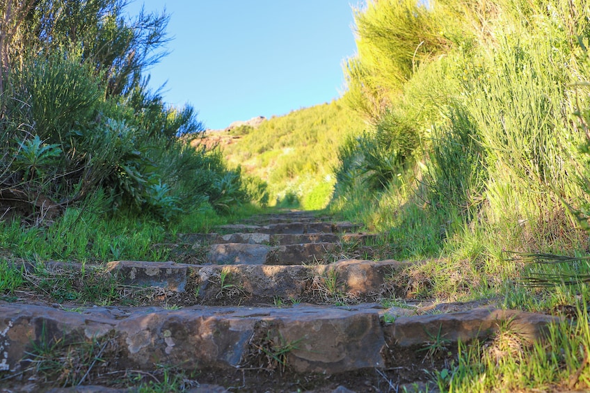 Guided Nature Hike (Full Day) - Pico do Arieiro